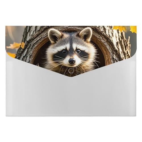 Akkordeon-Aktenordner, Fächermappe mit 6 Taschen, Waschbär im Baumloch, Akkordeon-Ordner, tragbarer Dokumenten-Organizer, A4-Papier-Aktenhalter für Büro, Rechnungen, Quittungen Akkordeon-Aktenordner, Fächermappe mit 6 Taschen, Waschbär im Baumloch, Akkordeon-Ordner, tragbarer Dokumenten-Organizer, A4-Papier-Aktenhalter für Büro, Rechnungen, Quittungen von MNVTSKOP