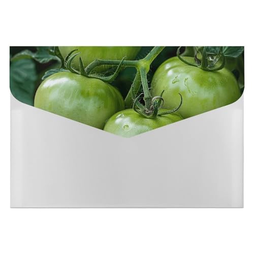 Akkordeon-Aktenordner, Fächermappe mit 6 Taschen, grüne Tomaten, Bild, Akkordean-Akkordean-Ordner, tragbarer Dokumenten-Organizer, Tasche, A4-Papieraktenhalter für Büro, Rechnungen, Quittungen Akkordeon-Aktenordner, Fächermappe mit 6 Taschen, grüne Tomaten, Bild, Akkordean-Akkordean-Ordner, tragbarer Dokumenten-Organizer, Tasche, A4-Papieraktenhalter für Büro, Rechnungen, Quittungen von MNVTSKOP