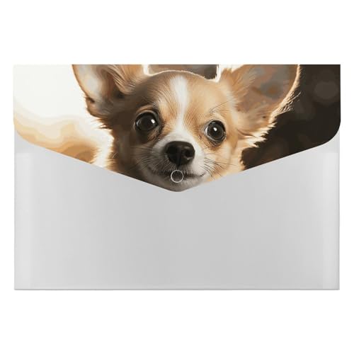 Akkordeon-Aktenordner, Fächermappe mit 6 Taschen, niedlicher Chihuahua-Akkordean-Ordner, tragbarer Dokumenten-Organizer, A4-Papier-Aktenhalter für Büro, Rechnungen, Quittungen von MNVTSKOP