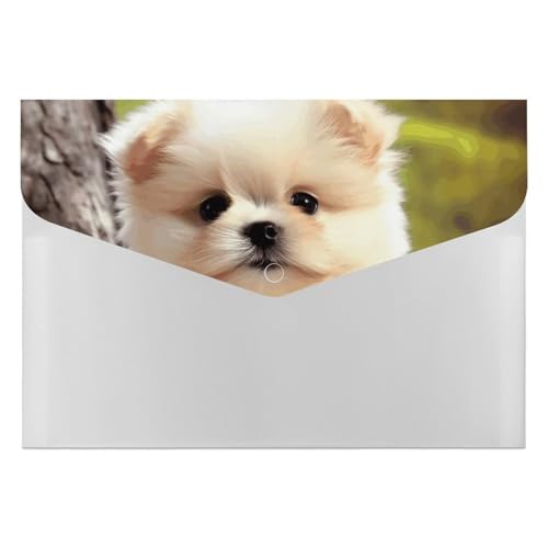 Akkordeon-Aktenordner, Fächermappe mit 6 Taschen, niedlicher Hund, Akkordeon-Ordner, tragbarer Dokumenten-Organizer, Tasche, A4-Papier-Aktenhalter für Büro, Rechnungen, Quittungen Akkordeon-Aktenordner, Fächermappe mit 6 Taschen, niedlicher Hund, Akkordeon-Ordner, tragbarer Dokumenten-Organizer, Tasche, A4-Papier-Aktenhalter für Büro, Rechnungen, Quittungen von MNVTSKOP