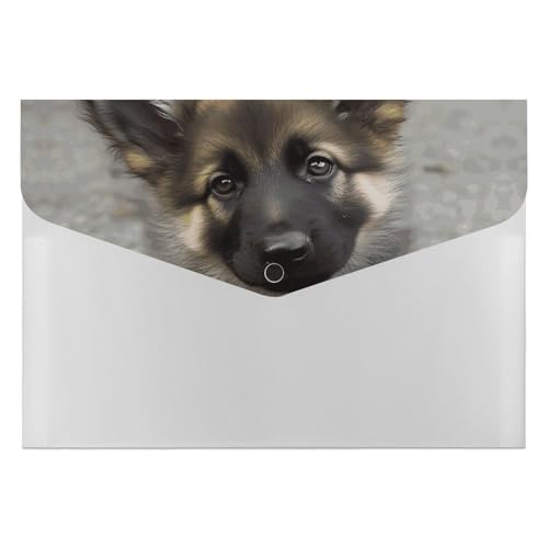 Akkordeon-Aktenordner, Fächermappe mit 6 Taschen, niedlicher Schäferhund, Welpe, Akkordean, Organizer, tragbare Dokumenten-Organizer, Tasche, A4-Papieraktenhalter für Büro, Rechnungen, Quittungen Akkordeon-Aktenordner, Fächermappe mit 6 Taschen, niedlicher Schäferhund, Welpe, Akkordean, Organizer, tragbare Dokumenten-Organizer, Tasche, A4-Papieraktenhalter für Büro, Rechnungen, Quittungen von MNVTSKOP