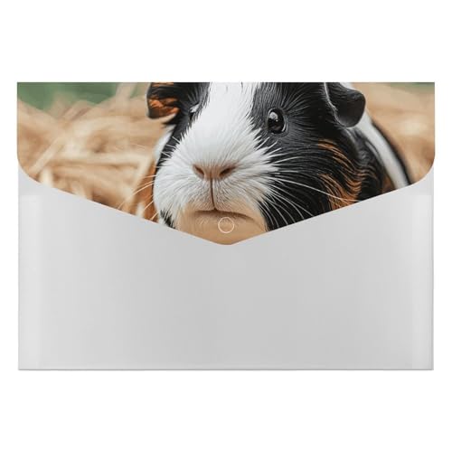 Akkordeon-Aktenordner, Fächermappe mit 6 Taschen, niedliches Meerschweinchen, Akkordean-Ordner, tragbarer Dokumenten-Organizer, A4-Papier-Aktenhalter für Büro, Rechnungen, Quittungen Akkordeon-Aktenordner, Fächermappe mit 6 Taschen, niedliches Meerschweinchen, Akkordean-Ordner, tragbarer Dokumenten-Organizer, A4-Papier-Aktenhalter für Büro, Rechnungen, Quittungen von MNVTSKOP
