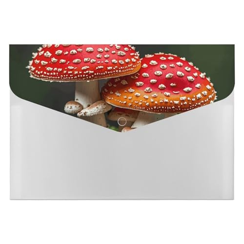 Akkordeon-Aktenordner, Fächermappe mit 6 Taschen, rote Kappe, Pilze, Akkordean-Aktenordner, Organizer, tragbare Dokumenten-Organizer, Tasche, A4-Papieraktenhalter für Büro, Rechnungen, Quittungen Akkordeon-Aktenordner, Fächermappe mit 6 Taschen, rote Kappe, Pilze, Akkordean-Aktenordner, Organizer, tragbare Dokumenten-Organizer, Tasche, A4-Papieraktenhalter für Büro, Rechnungen, Quittungen von MNVTSKOP