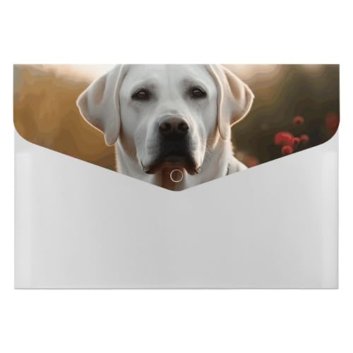 Akkordeon-Aktenordner, Fächermappe mit 6 Taschen, weißer Labrador, Akkordean, Organizer, tragbare Dokumenten-Organizer, Tasche, A4-Papieraktenhalter für Büro, Rechnungen, Quittungen Akkordeon-Aktenordner, Fächermappe mit 6 Taschen, weißer Labrador, Akkordean, Organizer, tragbare Dokumenten-Organizer, Tasche, A4-Papieraktenhalter für Büro, Rechnungen, Quittungen von MNVTSKOP
