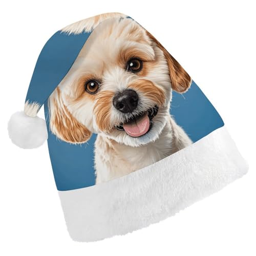 MNVTSKOP Plüsch-Weihnachtsmütze, Liebhaber, Hundepfote, bedruckt, Weihnachtsmannmütze, Uni, Weihnachtsmütze für Weihnachten, Neujahr, festliche Feiertagsparty MNVTSKOP Plüsch-Weihnachtsmütze, Liebhaber, Hundepfote, bedruckt, Weihnachtsmannmütze, Uni, Weihnachtsmütze für Weihnachten, Neujahr, festliche Feiertagsparty von MNVTSKOP