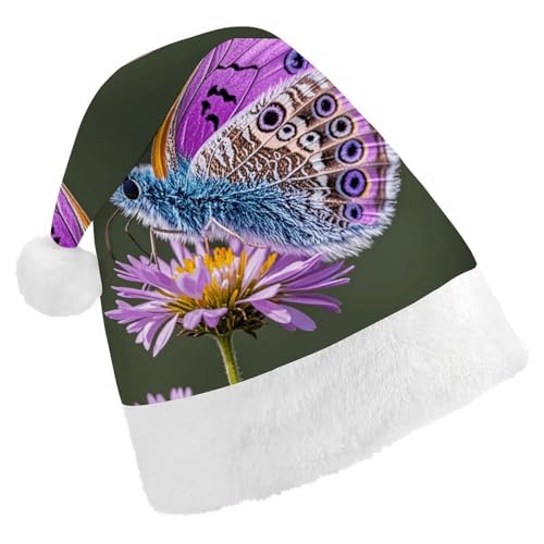 MNVTSKOP Plüsch-Weihnachtsmütze, niedlicher lila Schmetterling, bedruckt, Weihnachtsmannmütze, Uni, Weihnachtsmütze für Weihnachten, Neujahr, festliche Feiertagsparty MNVTSKOP Plüsch-Weihnachtsmütze, niedlicher lila Schmetterling, bedruckt, Weihnachtsmannmütze, Uni, Weihnachtsmütze für Weihnachten, Neujahr, festliche Feiertagsparty von MNVTSKOP