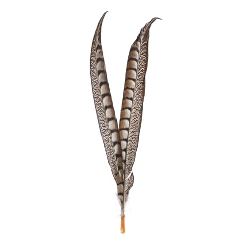 MOBUTOFU 2Pcs Peking Opera Wukong Plume Einzigartige Wolke Affen King Drama Plume Festival Performance Requisiten Plume Für Festival Drama Requisiten King Requisite Requisiten Bühnenprop von MOBUTOFU