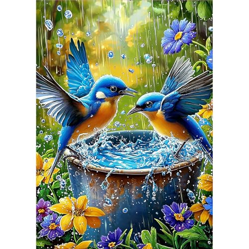MOGTAA Diamond Painting Erwachsene Vogel, 5D Blume Diamant Painting Bilder Erwachsene Anfänger, DIY Full Drill Diamant Malerei Bilder für Home Wand Dekor 30x40cm MOGTAA Diamond Painting Erwachsene Vogel, 5D Blume Diamant Painting Bilder Erwachsene Anfänger, DIY Full Drill Diamant Malerei Bilder für Home Wand Dekor 30x40cm von MOGTAA