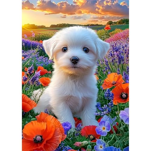 MOGTAA Hund Diamond Painting Erwachsene, 5D Blume Landschaft Diamant Painting Bilder Erwachsene Anfänger, DIY Full Drill Diamant Malerei Bilder für Home Wand Dekor 30x40cm MOGTAA Hund Diamond Painting Erwachsene, 5D Blume Landschaft Diamant Painting Bilder Erwachsene Anfänger, DIY Full Drill Diamant Malerei Bilder für Home Wand Dekor 30x40cm von MOGTAA