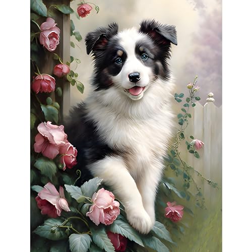 MOGTAA Hund Diamond Painting Erwachsene, 5D Tiere Diamant Painting Bilder Erwachsene, DIY Diamond Art Blumen Diamant Malerei Bilder für Home Dekor 30x40cm MOGTAA Hund Diamond Painting Erwachsene, 5D Tiere Diamant Painting Bilder Erwachsene, DIY Diamond Art Blumen Diamant Malerei Bilder für Home Dekor 30x40cm von MOGTAA