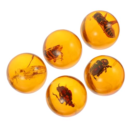 MOLUCKFU 5st Insekten Bernstein Dekorativer Bernstein Exemplar Anhänger Bernstein Selber Machen Kinderspielzeug Dekoratives Bernsteinhandwerk Exemplar Bernstein DIY-Handwerk Harz MOLUCKFU 5st Insekten Bernstein Dekorativer Bernstein Exemplar Anhänger Bernstein Selber Machen Kinderspielzeug Dekoratives Bernsteinhandwerk Exemplar Bernstein DIY-Handwerk Harz von MOLUCKFU