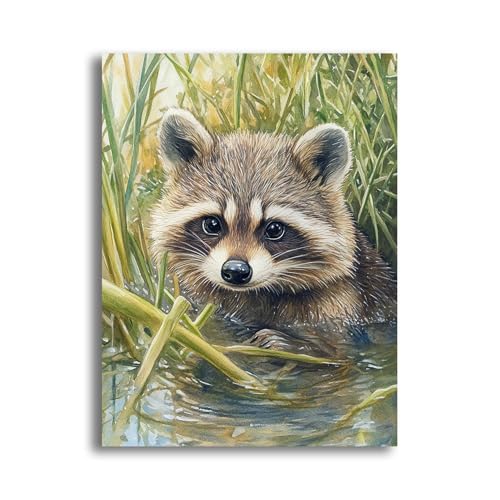 MOMAKA 5D Diamond Painting Kits Waschbär, DIY Diamant Malerei Full Drill Set, Runde Diamant Arts Craft Cross Stickerei Malerei Kits für die Home Wanddekoration 30x40 cm rk1753 von MOMAKA