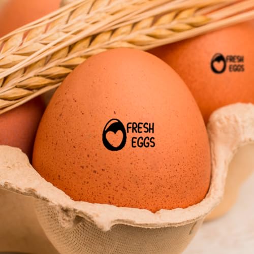 Eierstempel für Hühnereier, Eierstempel für frische Eier, Bauernhof-frische Eierstempel, Eierstempel für frische Eier, personalisierbar, individueller Mini-Eierstempel mit Huhn, kompletter von MONTEIONI