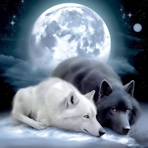Malen Nach Zahlen-Set Für Studenten Und Anfänger, Diy-Ölgemälde Mit Mond, Schwarz-Weiß-Wolf, Zeichnung, Wanddekoration 40 * 50cm Malen Nach Zahlen-Set Für Studenten Und Anfänger, Diy-Ölgemälde Mit Mond, Schwarz-Weiß-Wolf, Zeichnung, Wanddekoration 40 * 50cm von MOONTEE