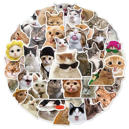 100 Stück Katze Aufkleber Classic Wasserfeste Vinyl Sticker für Laptop, Telefon, Wasserflasche, Skateboard, Koffer, Gitarre, Pad, Niedliche, Scrapbook Aufkleber für Kinder Gastgeschenke Mitgebsel 100 Stück Katze Aufkleber Classic Wasserfeste Vinyl Sticker für Laptop, Telefon, Wasserflasche, Skateboard, Koffer, Gitarre, Pad, Niedliche, Scrapbook Aufkleber für Kinder Gastgeschenke Mitgebsel von MORAINJAY