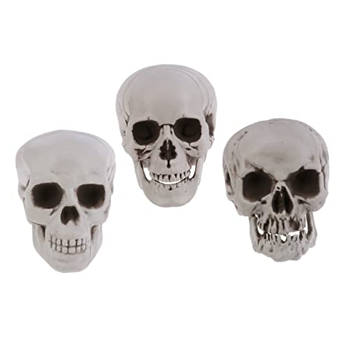 MOTHNUR 3 Stück Teiliges Halloween Deko mit Realistischen Simulation Schädel Modellen Stabile Kunststoff Schädel für Gruselige Tisch und Hausdekoration Geeignet für Innen und Außenbereich von MOTHNUR
