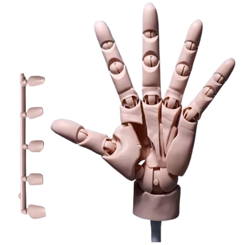 MOUNTTU Handmodell 1:1, bewegliche Schaufensterpuppenhand, bewegliche Gelenkpuppenhand mit Sockel, DIY-PVC-Handmodell zum Zeichnen, Malen, Skizzieren, Teint, Handzeichnungsfigur, zum Zeichnen MOUNTTU Handmodell 1:1, bewegliche Schaufensterpuppenhand, bewegliche Gelenkpuppenhand mit Sockel, DIY-PVC-Handmodell zum Zeichnen, Malen, Skizzieren, Teint, Handzeichnungsfigur, zum Zeichnen von MOUNTTU