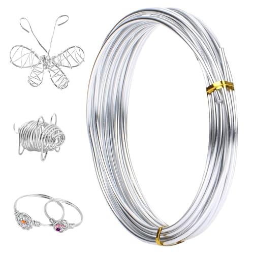 Basteldraht 1mm x 20m, Aluminiumdraht Silberner, Draht zum Basteln Schmuckdraht für Schmuckherstellung, Bastelarbeiten, Dekoteile, DIY-Skulpturen, Kranzherstellung Basteldraht 1mm x 20m, Aluminiumdraht Silberner, Draht zum Basteln Schmuckdraht für Schmuckherstellung, Bastelarbeiten, Dekoteile, DIY-Skulpturen, Kranzherstellung von MOVKZACV