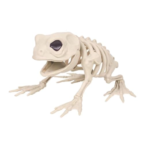 MQODLFP Froschskelett Als Halloween-Dekoration - Bewegliche Tierskelette, Skelette mit Beweglichen Gelenken, Halloween-Dekoration MQODLFP Froschskelett Als Halloween-Dekoration - Bewegliche Tierskelette, Skelette mit Beweglichen Gelenken, Halloween-Dekoration von MQODLFP