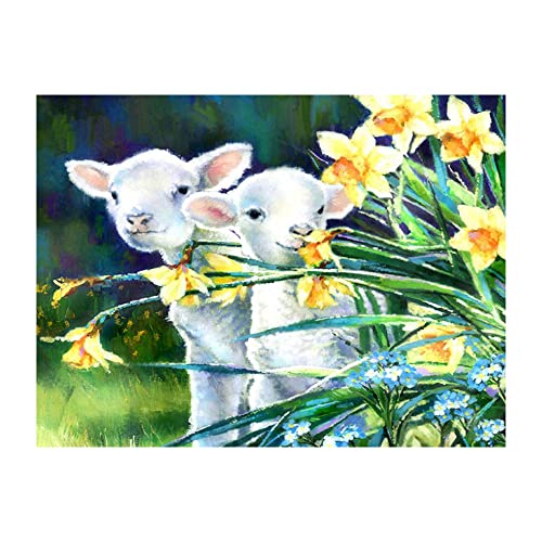 Malen nach Zahlen - Schaf-Tierfarm niedlich - Paint by Numbers Kit mit Pinseln und Acrylpigment DIY Leinwandmalerei für Erwachsene Anfänger Stillleben 40x50cm von MRCCS