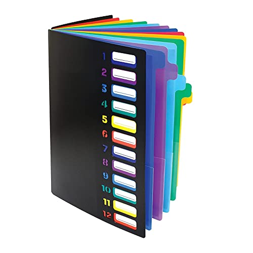 MRNHA Aktenordner mit 24 Durchsichtigen, Erweiterbar, 12 Farbige Registerkarten, Für 300 Blatt, Aktenordner, Nummerierter Index auf Umschlag, 1 StüCk von MRNHA