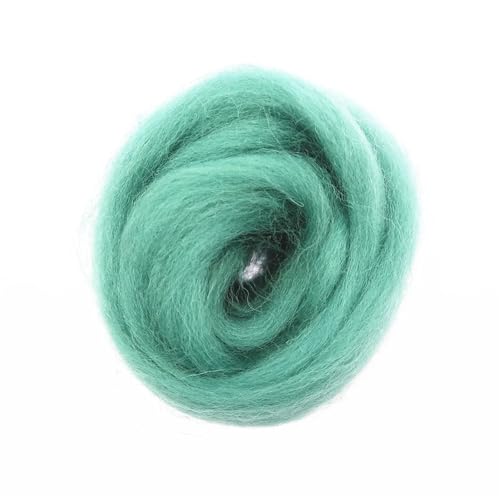 MRVAKDYDI Trockenfilzwolle, Wollfaser Roving Nadelfilzen Spinnen DIY Handwerk Material Multicolor 10g/50g/100g(22,100g) von MRVAKDYDI