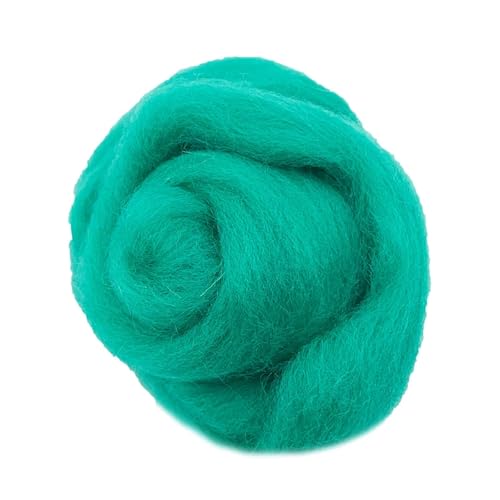 MRVAKDYDI Trockenfilzwolle, Wollfaser Roving Nadelfilzen Spinnen DIY Handwerk Material Multicolor 10g/50g/100g(26,10g) von MRVAKDYDI