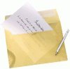Sam – Box mit 250 weißen Papiertüten 100 g Silikonstreifen 229 x 324 cm C4 von MSA