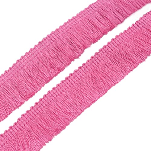 MSCFTFB 27 Yards Quaste Fransenborte Breite 2,5 cm Quaste Spitzenband für Schmuckherstellung Kissen Quilten Vorhang Kleid Rock Girlande Nähen Handwerk (Rose) von MSCFTFB