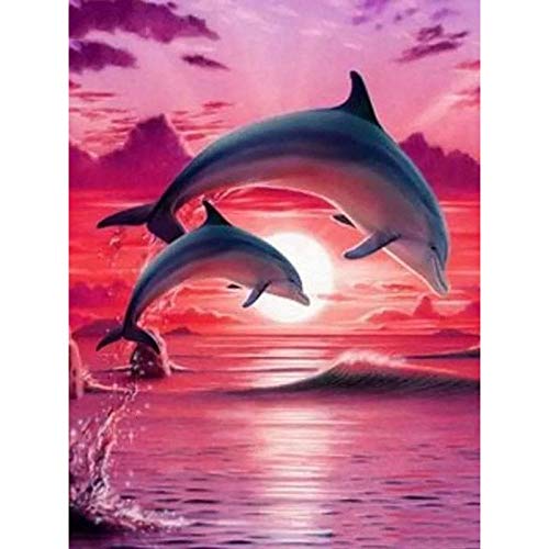 Malen nach Zahlen Erwachsene Delfine 40x50 cm Paint by Numbers DIY Öl Acryl Leinwand Bild Dekoration Rosa Sonnenuntergang Meer 1 Stück von MT Majami