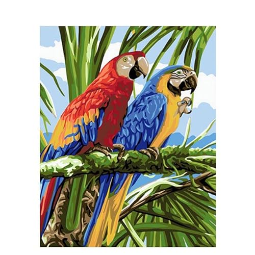 Malen nach Zahlen Erwachsene Papagei Parrots 40x50 cm Paint by Numbers ohne Rahmen DIY Öl Acryl Leinwand Bild Dekoration von MT Majami