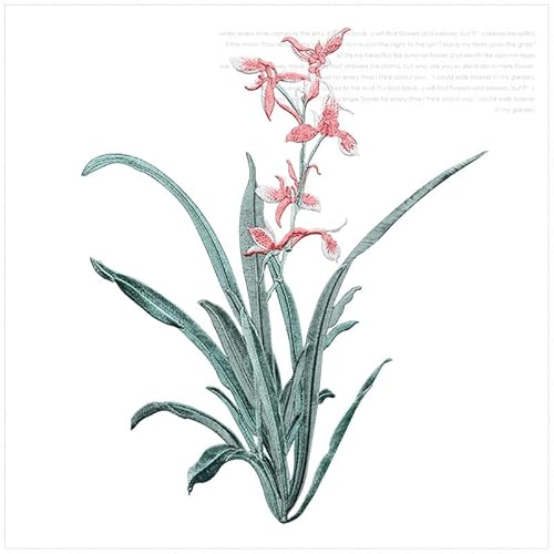 MTKSFDC Bügelflicken 19 x 24,5 cm Orchideenblüten-Aufnäher for Aufbügeln, floraler Aufnäher for Kleidung, Stoff, for Aufbügeln, DIY-Mantel, Jeans-Zubehör(Color D) von MTKSFDC