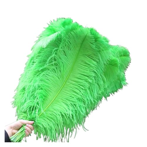 MTKSFDC Feder TanzfäCher 10 Teile/los Elegante Natürliche Federn 50-55cm for Handwerk Hochzeit Partei Liefert Karneval Tänzerin Dekoration Gefieder(Guolu) von MTKSFDC
