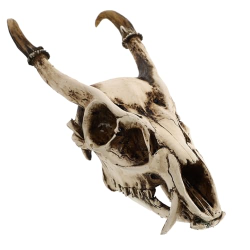 MUCKLILY 1Stück Gefälschter Ziegenschädel aus Harz Kreative Dekoration für Halloween und Haushaltsdekor Stilvolle Tischverzierung Langlebiges Beige Farbe MUCKLILY 1Stück Gefälschter Ziegenschädel aus Harz Kreative Dekoration für Halloween und Haushaltsdekor Stilvolle Tischverzierung Langlebiges Beige Farbe von MUCKLILY