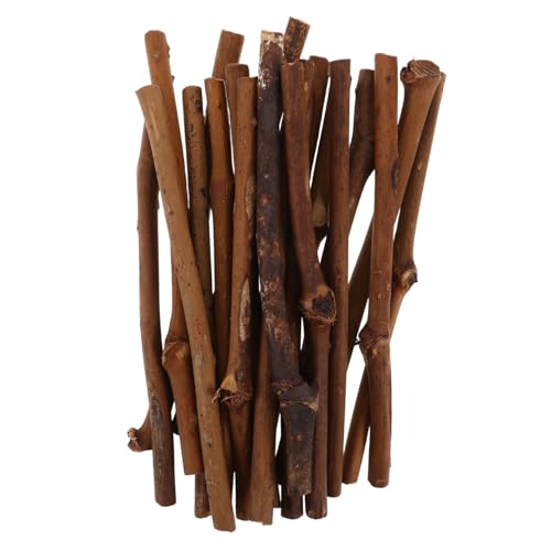 MUCKLILY 20 Stück Weinzweigdekoration Bastelstangen bastelstöcke selber machen Birkenzweige Holzzweige Holzstangen Mini-Kunstholzstäbchen Farbstifte aus Holz Holzstämme Baumstäbe Kaffee von MUCKLILY