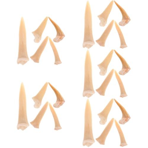 MUCKLILY 5 Sätze Charme Haifischzahn Schmuck Meereslebewesen Schmuck Kit Zur Schmuckherstellung Herstellung Von Halsketten Und Armbändern Charme Halsketten- 5 Stück * 5 MUCKLILY 5 Sätze Charme Haifischzahn Schmuck Meereslebewesen Schmuck Kit Zur Schmuckherstellung Herstellung Von Halsketten Und Armbändern Charme Halsketten- 5 Stück * 5 von MUCKLILY