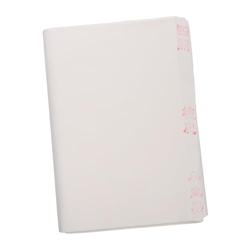 MUELODSIC 100 Stück Xuan Papier Chinesisches und Japanisches Reispapier für Kalligraphie Sumi Pinselmalerei Lose Anfänger-übungspapier Säurefrei Archivfest Traditionelle Textur von MUELODSIC