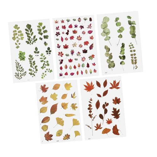 MUELODSIC 5 Stück Teiliges DIY Harz Füllmaterialien Blumen Aufkleber Epoxidharz Füllstoffe für Nagelkunst Handyhüllen Scrapbooks und Epoxidharz Bastelprojekte von MUELODSIC