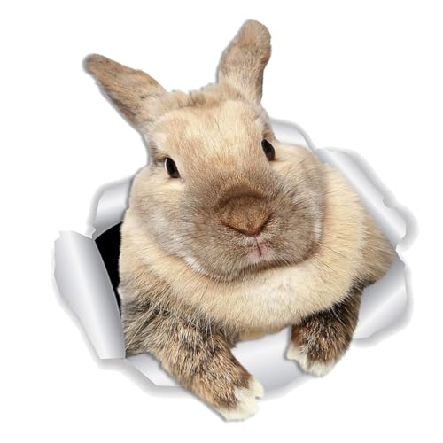 MUELODSIC Wandtattoo Kaninchen Wandsticker Kinderzimmer Dekoration Abnehmbar Cartoon Aufkleber für Mädchenzimmer und Kleinkinderzimmer von MUELODSIC