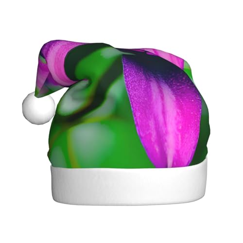 MUFLVDX Weihnachtsmütze mit Blumenblättern, violett-roter Blumendruck, für Erwachsene, Weihnachtsmannmütze für Damen und Herren, für Weihnachten, Neujahr, Urlaub, Partyzubehör MUFLVDX Weihnachtsmütze mit Blumenblättern, violett-roter Blumendruck, für Erwachsene, Weihnachtsmannmütze für Damen und Herren, für Weihnachten, Neujahr, Urlaub, Partyzubehör von MUFLVDX