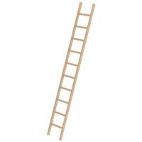 MUNK Anlegeleiter 33110 natur 10 Sprossen, H: 300,0 cm MUNK Anlegeleiter 33110 natur 10 Sprossen, H: 300,0 cm von MUNK