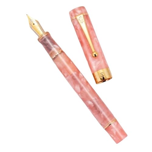 MURVE 100 Century Series Füllfederhalter mit F 0,5 mm Feder, Schreibwaren, Schule, Büro, Schreibwaren, glatte Tinte, Stifte als Geschenk (8, nur Stift) von MURVE