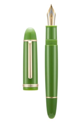 MURVE Klassisches Füllfederhalter-Set, 0,5 mm/0,38 mm Spitze, elegantes Bürobedarf, Hellgrün mit goldfarbenem Clip, F von MURVE