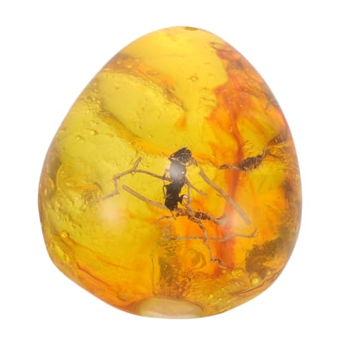 MUSISALY Elegante Insekten-bernsteinkette Harzexemplar Handgefertigter Schmuck MUSISALY Elegante Insekten-bernsteinkette Harzexemplar Handgefertigter Schmuck von MUSISALY