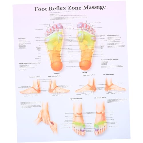 MUSISALY Poster Mit Massage-fußreflexzonenmassage-diagramm 38 X 30 Cm Wandkunst Fürs Büro MUSISALY Poster Mit Massage-fußreflexzonenmassage-diagramm 38 X 30 Cm Wandkunst Fürs Büro von MUSISALY