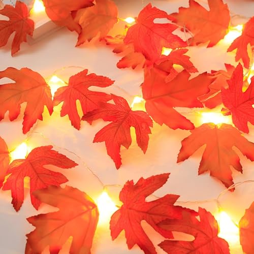 Herbst Dekoration Lichterkette, MUSUNIA 3M 20LED Ahornblätter Lichterkette Batteriebetrieben mit Timer, Künstliche Ahornblatt Herbst Girlande für Halloween,Herbst,Kürbis,Erntedankfest,Innen Außen Deko Herbst Dekoration Lichterkette, MUSUNIA 3M 20LED Ahornblätter Lichterkette Batteriebetrieben mit Timer, Künstliche Ahornblatt Herbst Girlande für Halloween,Herbst,Kürbis,Erntedankfest,Innen Außen Deko von MUSUNIA