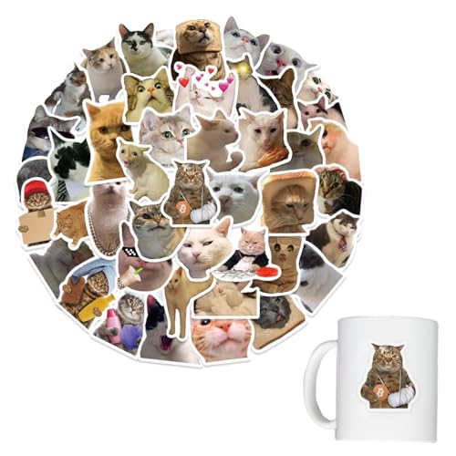 50 Stück Katzensticker, Sticker Aesthetic, Lustige Aufkleber, Lustiges Katzen Aufkleber Set, Malle Sticker, Lustige Meme Sticker Set, Meme Aufkleber für Auto Laptop Skateboard Fahrrad Moped 50 Stück Katzensticker, Sticker Aesthetic, Lustige Aufkleber, Lustiges Katzen Aufkleber Set, Malle Sticker, Lustige Meme Sticker Set, Meme Aufkleber für Auto Laptop Skateboard Fahrrad Moped von MUVONZI
