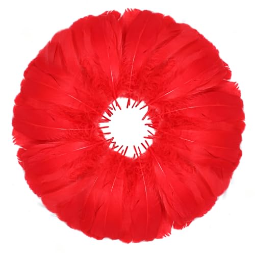 MWOOT 600 Stück Rot Federn zum Basteln, 8-12CM Klein Bastelfedern für Traumfänger Faschingskostüme Halloween Masken Ostereier Dekoration Basteln, DIY Crafts Art Feather MWOOT 600 Stück Rot Federn zum Basteln, 8-12CM Klein Bastelfedern für Traumfänger Faschingskostüme Halloween Masken Ostereier Dekoration Basteln, DIY Crafts Art Feather von MWOOT