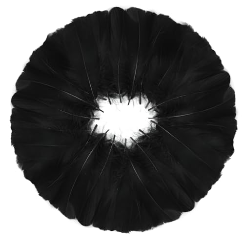MWOOT 600 Stück Schwarz Federn zum Basteln, 8-12CM Klein Bastelfedern für Traumfänger Faschingskostüme Halloween Masken Ostereier Dekoration Basteln, DIY Crafts Art Feather MWOOT 600 Stück Schwarz Federn zum Basteln, 8-12CM Klein Bastelfedern für Traumfänger Faschingskostüme Halloween Masken Ostereier Dekoration Basteln, DIY Crafts Art Feather von MWOOT