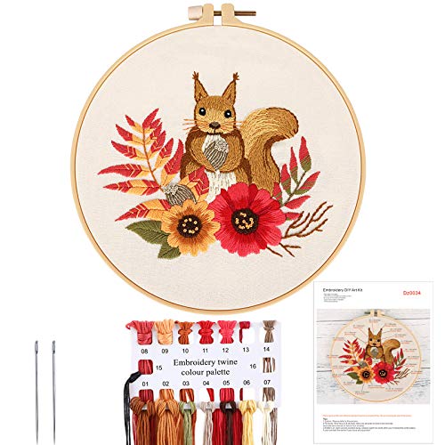 MWOOT Stickerei Starter Kit,DIY Handgemachte Kreuzstich Set, Anfänger Embroidery Cross Stitch Starter Kit für Erwachsene (Eichhörnchen) von MWOOT